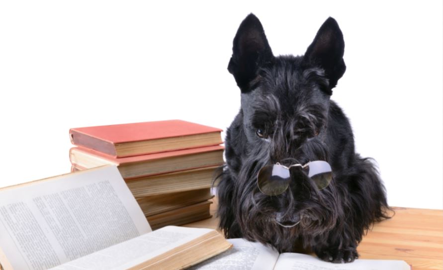 reading1