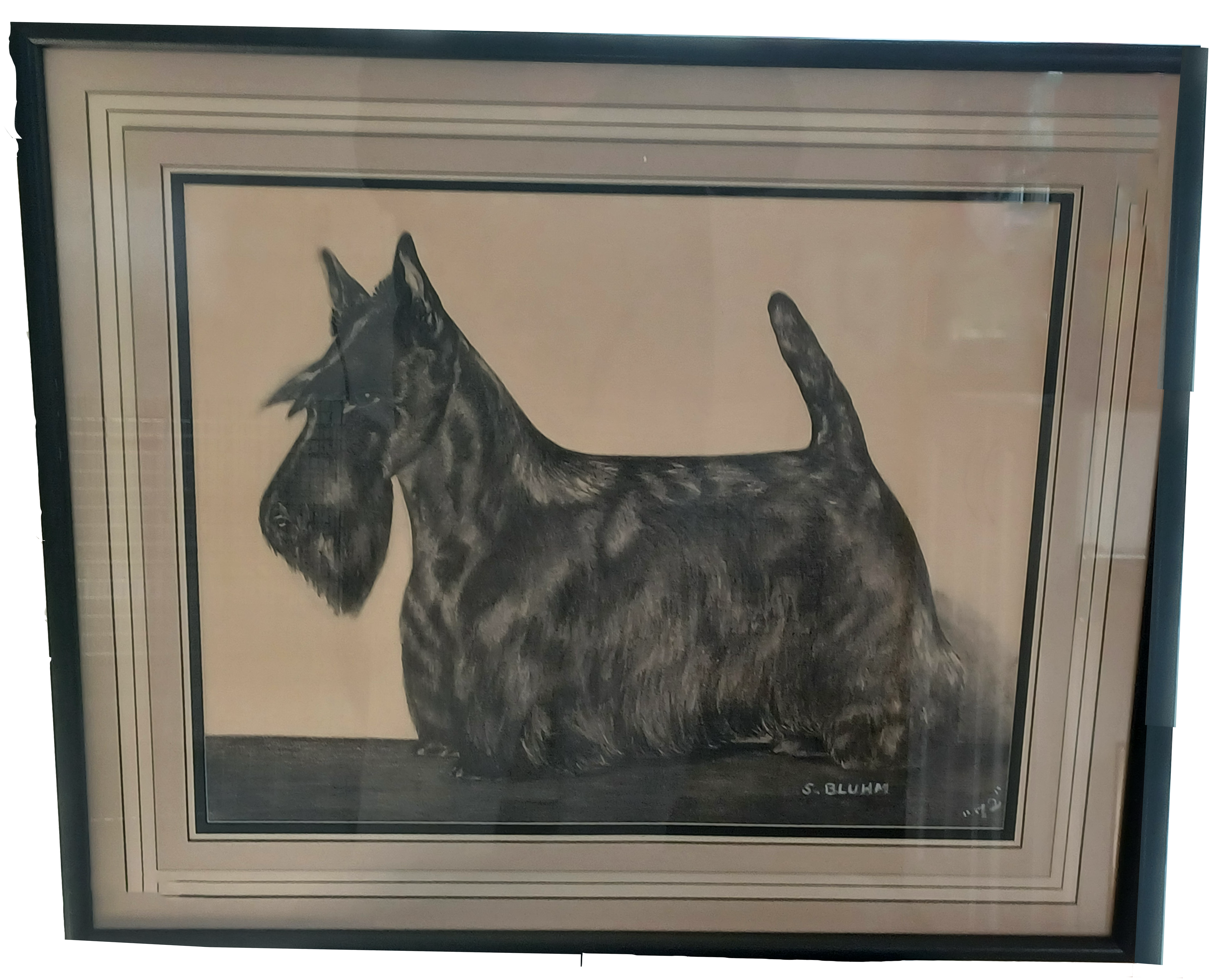 dog